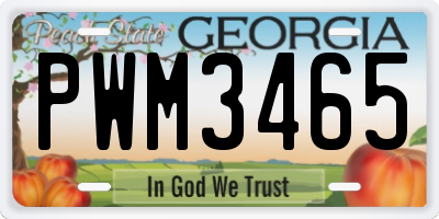 GA license plate PWM3465