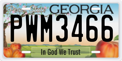 GA license plate PWM3466