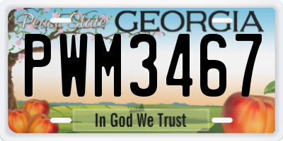 GA license plate PWM3467