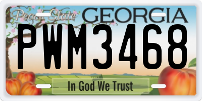 GA license plate PWM3468