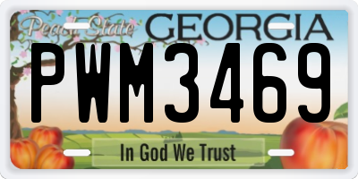 GA license plate PWM3469