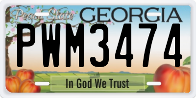 GA license plate PWM3474