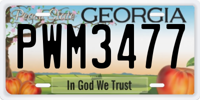 GA license plate PWM3477