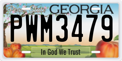 GA license plate PWM3479