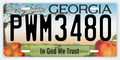 GA license plate PWM3480