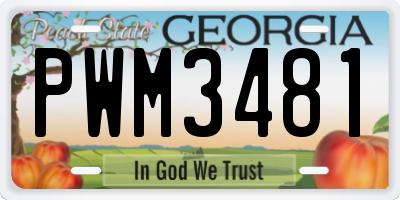 GA license plate PWM3481