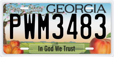 GA license plate PWM3483