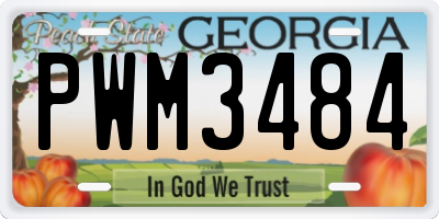 GA license plate PWM3484