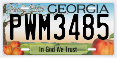 GA license plate PWM3485