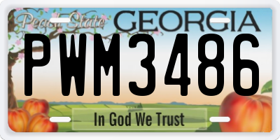GA license plate PWM3486