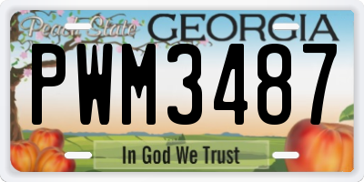 GA license plate PWM3487