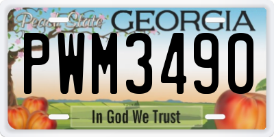 GA license plate PWM3490