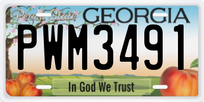 GA license plate PWM3491