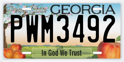 GA license plate PWM3492