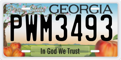 GA license plate PWM3493