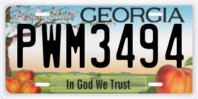 GA license plate PWM3494