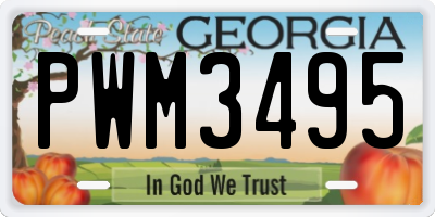 GA license plate PWM3495