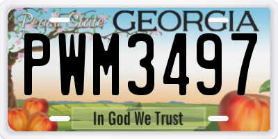 GA license plate PWM3497