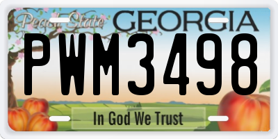 GA license plate PWM3498