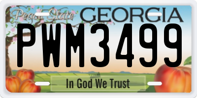 GA license plate PWM3499