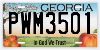 GA license plate PWM3501