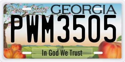 GA license plate PWM3505