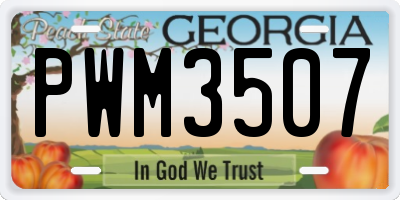 GA license plate PWM3507