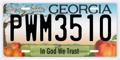 GA license plate PWM3510