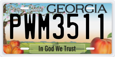 GA license plate PWM3511