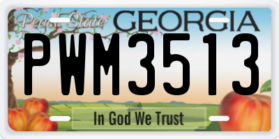 GA license plate PWM3513