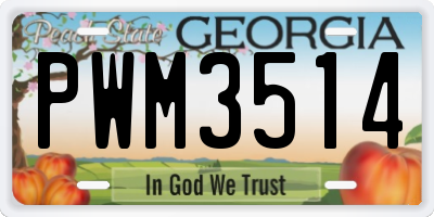GA license plate PWM3514