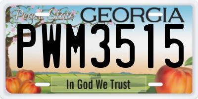GA license plate PWM3515
