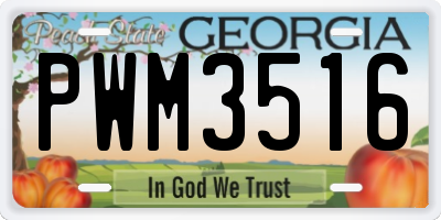GA license plate PWM3516