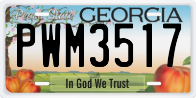 GA license plate PWM3517