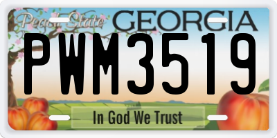GA license plate PWM3519