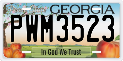 GA license plate PWM3523