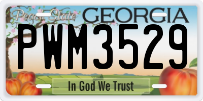 GA license plate PWM3529