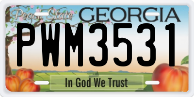 GA license plate PWM3531