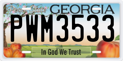 GA license plate PWM3533