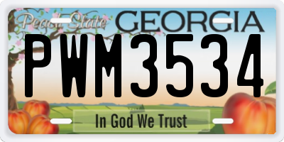 GA license plate PWM3534