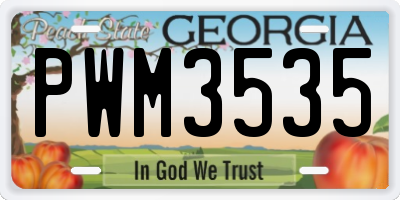 GA license plate PWM3535
