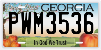 GA license plate PWM3536