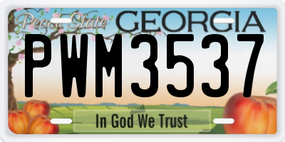 GA license plate PWM3537