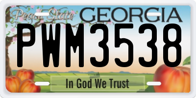 GA license plate PWM3538