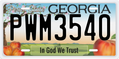 GA license plate PWM3540