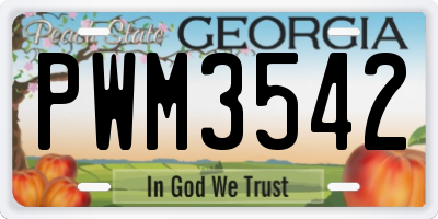 GA license plate PWM3542