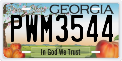 GA license plate PWM3544