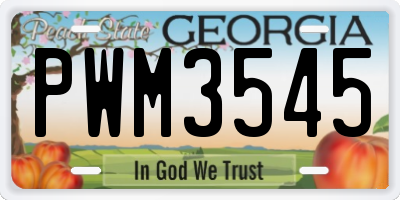 GA license plate PWM3545
