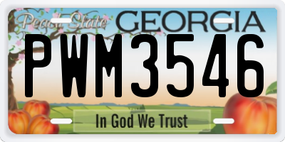 GA license plate PWM3546