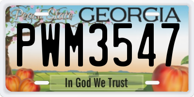 GA license plate PWM3547
